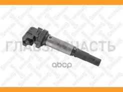������� ��������� BMW F20/E90/F30/F10/F01/X1/X3/X5/X�6 1.6-3.0i, Citroen C4/C5 1.6i 06 6100075SX ����