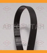 ������ ������������ 6PK2260 6PK2260 Tatsumi TFB1049 TFB1049 ����