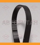 ������ ������������ 6PK1903 6PK1903 TFB1116 ����