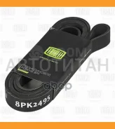 ������ ������������ 8PK2450 ����