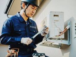 ����������. ��� "��� �������". ���������� ����, ������������ ��������� �����, ����������, ����� ��������� 29 ����