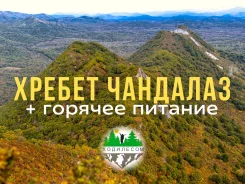 ������ ��������. ����