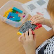 �������������. �� �������� �.�. �������� ��������������� 22/2 ����