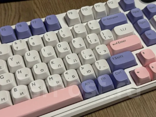 ����������. ����