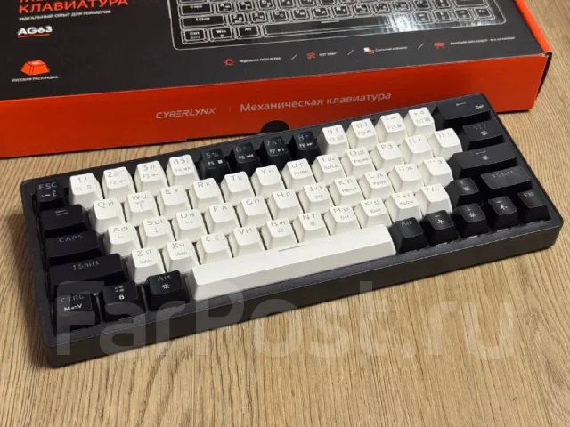 ����������. ����