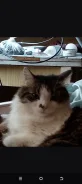 �����. ����