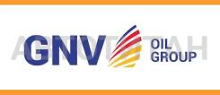 GNV Global Power
