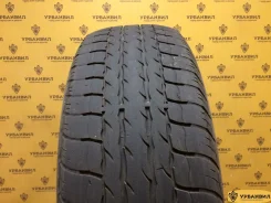 Zeetex Vigor H/T