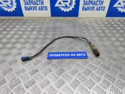 ������ ����������� �2 (lambdasonde) Ford Focus 2 2007 3M519G444AB 2.0 AODA 145.5 �. � 3M519G444AB ����