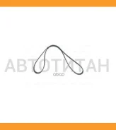 ������ ������������ Avantech 5PK875 ����