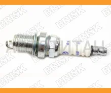 ����� ��������� Silver DR15YS9 (1462) DR15YS9 ����