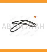 ������ �������� 10x1020 (����) RAF2400 ����