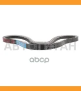 ������ ����������� Bando RAF3335 ����