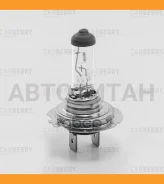 ����� �7 12V (55W) DayNight H7 12V (55W) PX26D 31CA13 ����