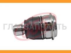 ����� ������� | ����� ����/��� | Nissan Sentra 555 SB4952 SB4952 ����