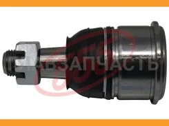 ����� ������� | ����� ����/��� | Honda Accord 03-05 (CL7) 555 SB6312 SB6312 ����