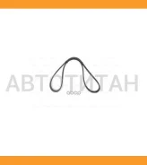 ������ ������������ Avantech 6DPK1215 ����