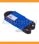 ������ ������������ Avantech 6PK1310 ����