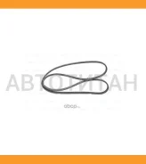 ������ ������������ Avantech 6PK1695 ����