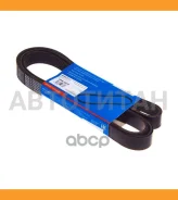 ������ ������������ Avantech 7PK1810 ����