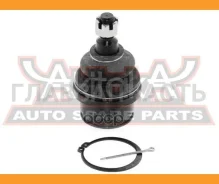 ����� ������� Toyota Caldina AZT241/ZZT241 2002-2007/Caldina AZT246/ST246 4WD 2002-2007/Scion TC ANT10 2004-2010 ASVA 0120AZT240R 0120AZT240R ����