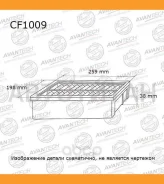 ������ �������� Avantech CF1009 ����