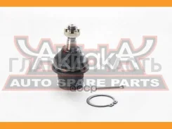 ����� ������� Nissan/Infiniti Infiniti G35 (V35) Skyline V35 ASVA 0220V35 0220V35 ����