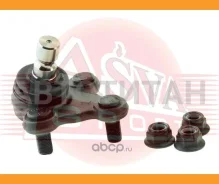 ����� ������� | ����� ��� | 1220033 ����