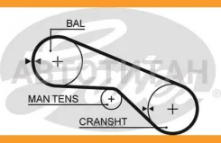 ������ ��� 5025 Gates 55x1/2 5025 ����