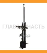 ������ ������������ Double Force (RR) [DF338019], ������ ������ DF338019 ����