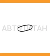 ������ �������� HDPF5595 ����