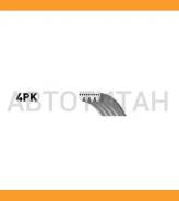 ����������! XF ������ ������������ [4PK718] 4PK718 ����