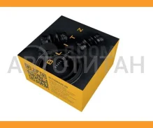 ����������� ���������� �������� VAG BR0209 ����