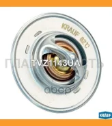 ��������� SEAT Cordoba (6L2) SEAT Ibiza III (6L1) SEAT Ibiza IV (6J5, 6P1) SEAT Ibiza IV Sportcoupe (6J1, 6 TVZ1143UA ����