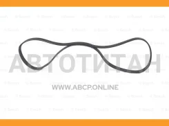 ������ ������������ 6PK1105 Alfa Romeo 156 2.4JTD 97-06, Fiat Marea 96-07 6PK1104, 6PK1103, 6PK1106, 6PK1107, 6PK1105, 1107K6, 1105K6 1987945710 ����