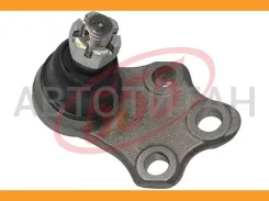 ����� ������� | ����� ��� | 555 SBN062L SBN062L ����