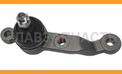 ����� ������� | ����� ���� | 555 SBT286R SBT286R ����
