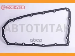��������� ������� ���� ������������� COB-WEB 073320SR (73320) 073320SR ����