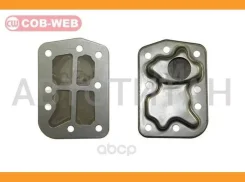 ������ ���� � ��������� ���������� ������� COB-WEB 112860 (SF286/072860) 112860 ����