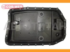 ������ ���� � �������� � ����� COB-WEB SF303 COB-WEB SF303 SF303 ����