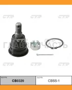 ����� ������� | ����� ����/��� | Maxima (A32), Cefiro 97- / CBN-54 CTR CB0320 CB0320 ����