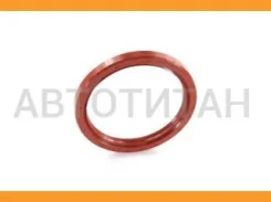 ������� ��������� RR TY 3S/4S/5S-FE/2L#/3L#/5L/2ZZ-GE, ������� T1183 ����