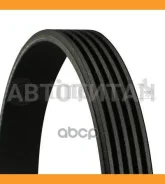 ������ ������������ 5PK970 1987947812, 5PK970, 5PK968, 5K0970, 28842, 5PK0970, 5PK971, 5PK972, 5PK969, 07L903137T, 575079, 9936510970, 9091602303, 993...