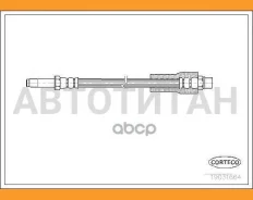 ��������� ����� ������ [275mm] BMW 5 (E39) 95-03 Corteco 19031664 19031664 ����
