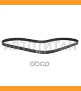 ������ ������������ Toyota 3S/4S-FE ST17#/ST19# (AC)/Mitsubishi 4G93 E52/72A (AC) 5PK1115 ����