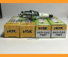 ����� ��������� BKR-GAS ��� ����������� ���������� ������� ������������� (CNG/LPG) 7987 ����