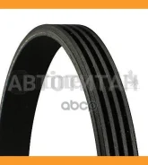 ������ ������������ Contitech 4PK673 ����