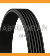 ������ ������������ 1987946064, 6PK1880, 68808, 6K1880, 33022, 28987, 8640601877, 6PK1878, 6PK1881, 6PK1879, 6PK1882, 078903137BJ, 078903137BC, 519682...