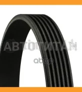 ������ ������������ 6PK986 1987946020, 68364, 6PK985, 6PK986, QBR6988, 6K0986, 6PK0987, 6PK984, 6PK987, 6PK988, 7780556, 7780557, 71719396, 46770217 6...