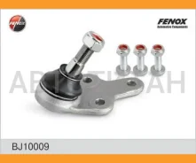 ����� ������� | ����� ����/��� | BJ10009 ����
